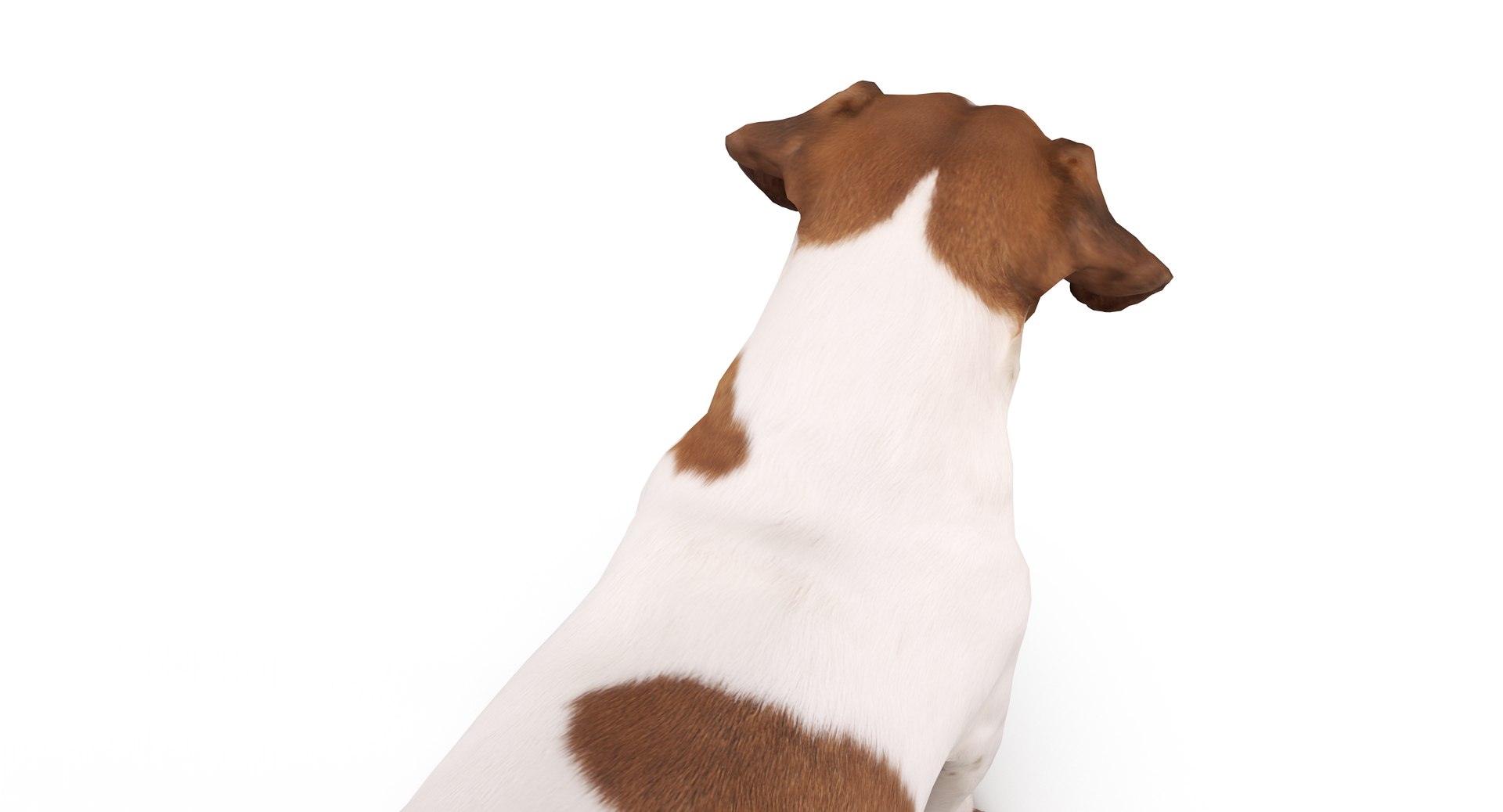 jack russell 3D model https://p.turbosquid.com/ts-thumb/SQ/QN6B0y/BQjF75bP/40006/png/1516640628/1920x1080/fit_q87/d4b1b7d2d396d2507420f3703bd91e61d43b285b/40006.jpg