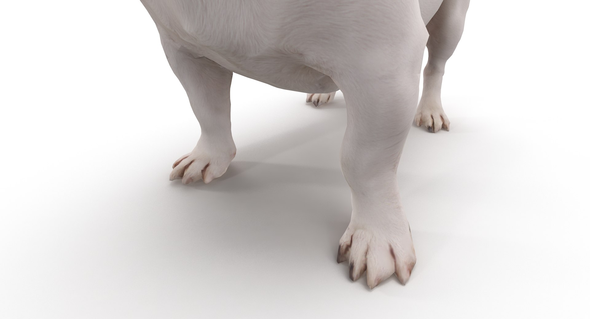 jack russell 3D model https://p.turbosquid.com/ts-thumb/SQ/QN6B0y/Fxp1sIaJ/40014/png/1516640628/1920x1080/fit_q87/e769fb2a94e25b09cb78c8a210cf6b741f6733e9/40014.jpg