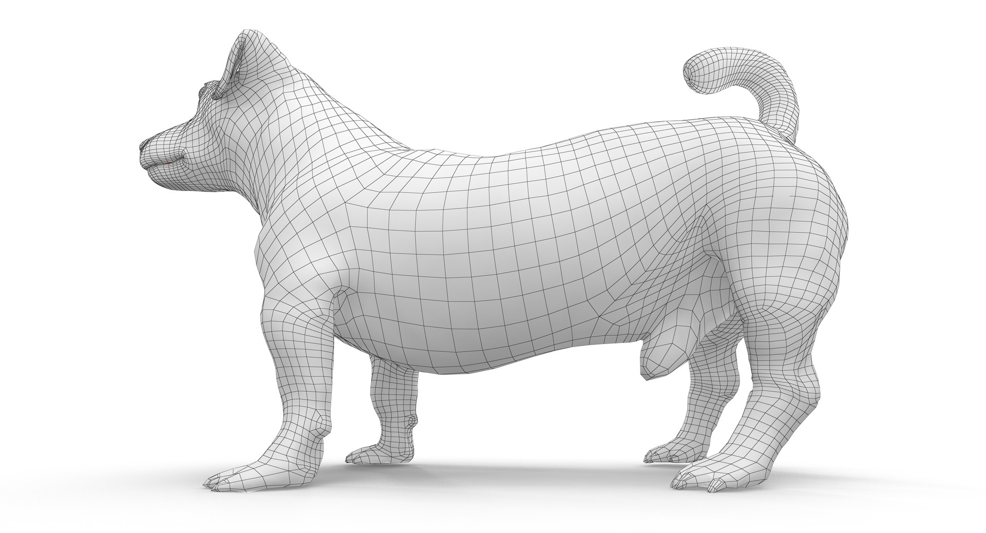 jack russell 3D model https://p.turbosquid.com/ts-thumb/SQ/QN6B0y/G28eZcOQ/180015/png/1516640628/1920x1080/fit_q87/9ec655f4592ec97b3ef0a5e3a815615c7d857c7e/180015.jpg