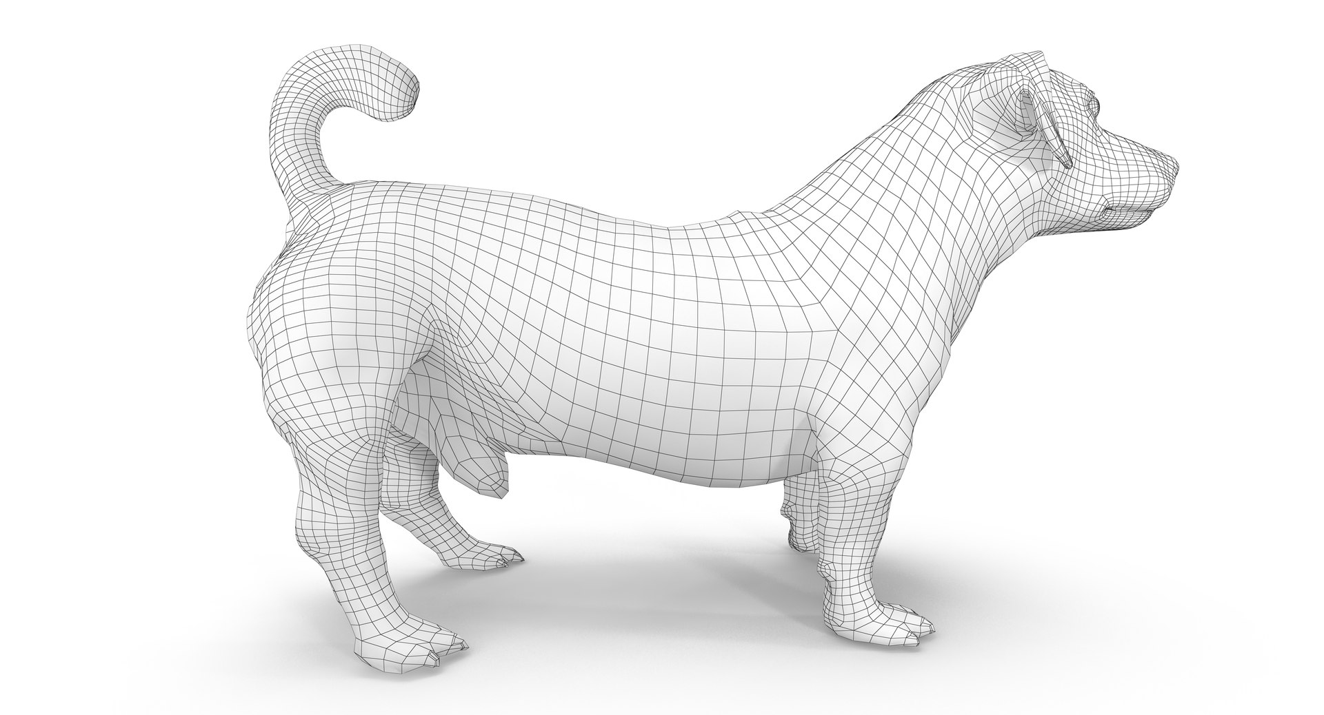 jack russell 3D model https://p.turbosquid.com/ts-thumb/SQ/QN6B0y/GoeZhxsL/180003/png/1516640628/1920x1080/fit_q87/a50e83d2d34f201756fb4e26f346b59232ad31a4/180003.jpg