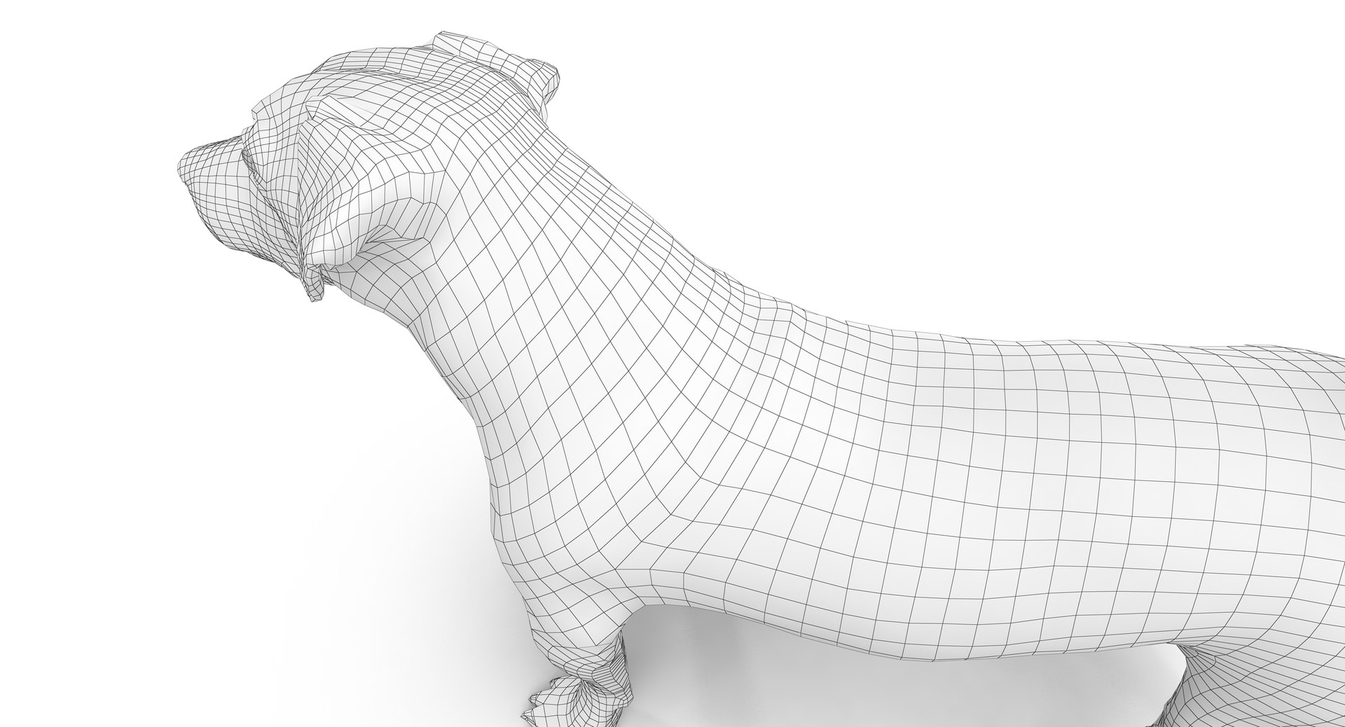 jack russell 3D model https://p.turbosquid.com/ts-thumb/SQ/QN6B0y/MA7h6XLR/180013/png/1516640628/1920x1080/fit_q87/7c6ba68fb53cfeb1b8858d41c7a8748b416dcf63/180013.jpg