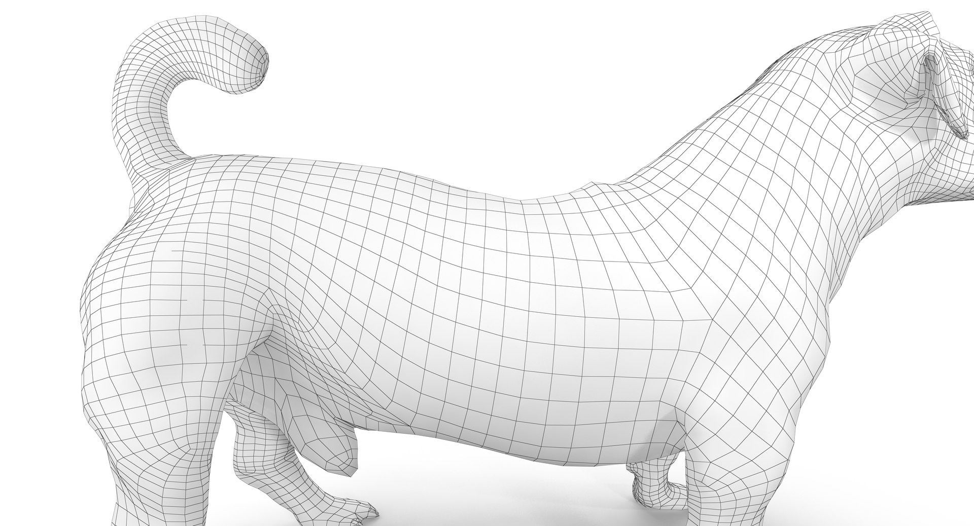 jack russell 3D model https://p.turbosquid.com/ts-thumb/SQ/QN6B0y/WN8W3UKo/180008/png/1516640628/1920x1080/fit_q87/609c929627a94994b639e56710be4cd1dad6ee03/180008.jpg