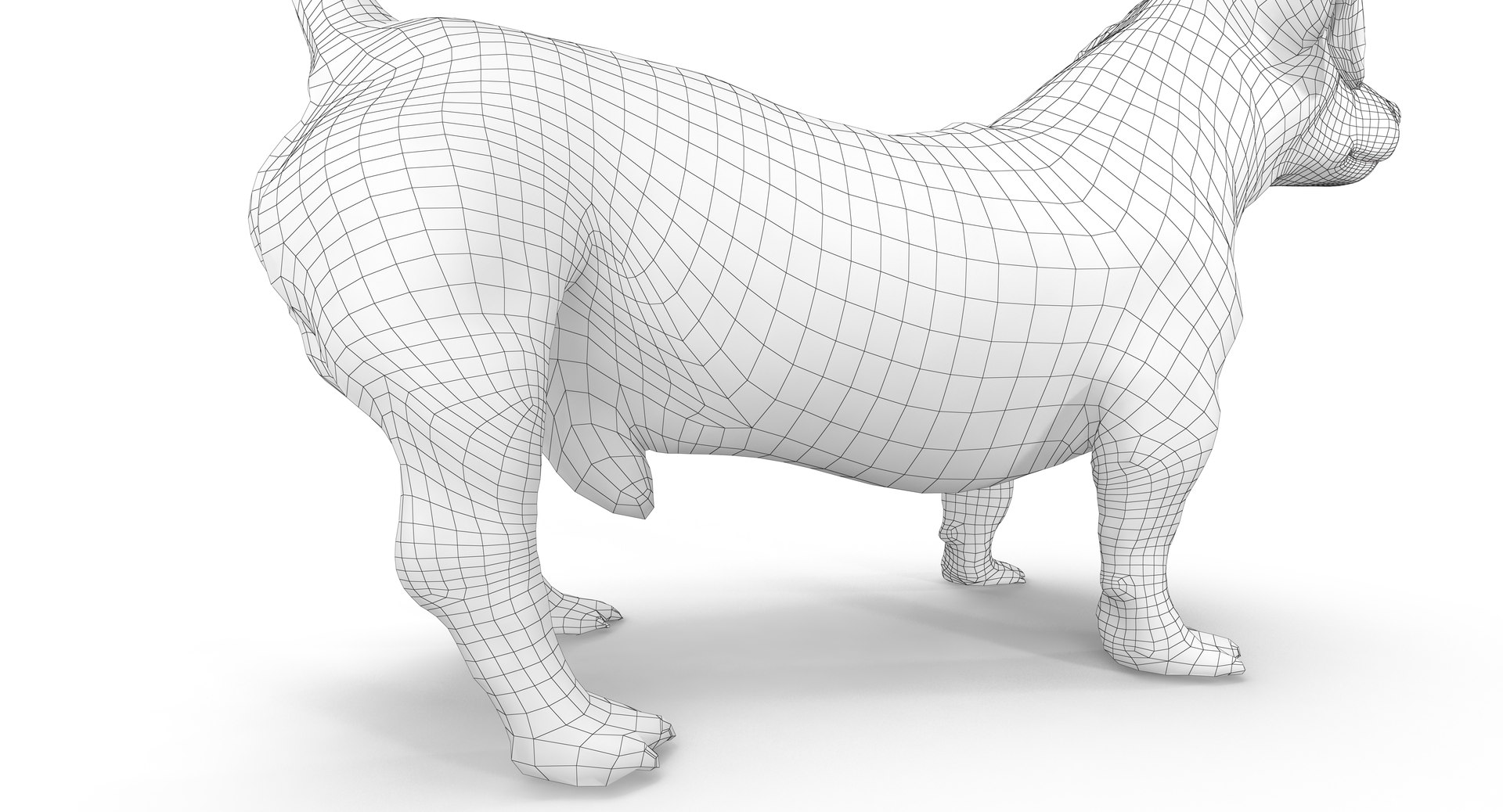 jack russell 3D model https://p.turbosquid.com/ts-thumb/SQ/QN6B0y/XKYLXsQp/180009/png/1516640628/1920x1080/fit_q87/eff89848bdcb3b0540c35c4f1a50f4d3d7b1140f/180009.jpg