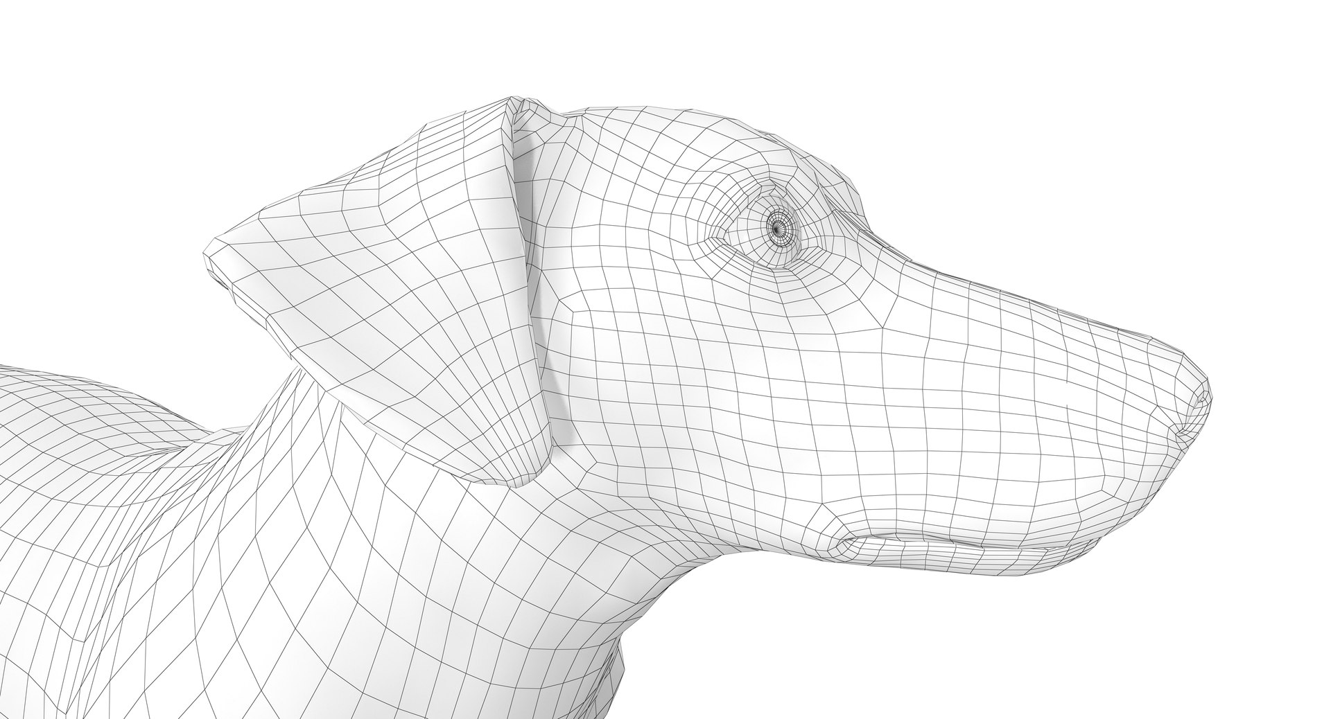 jack russell 3D model https://p.turbosquid.com/ts-thumb/SQ/QN6B0y/rOLARY02/180011/png/1516640628/1920x1080/fit_q87/e0febb2271dd7d6c4a39e3372c5be61bcfd3972b/180011.jpg