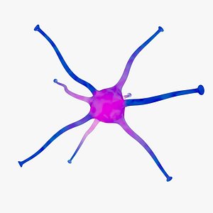 Neuron
