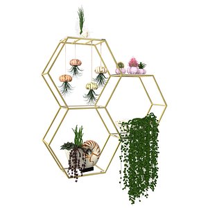 3D House Plants with seashell vase