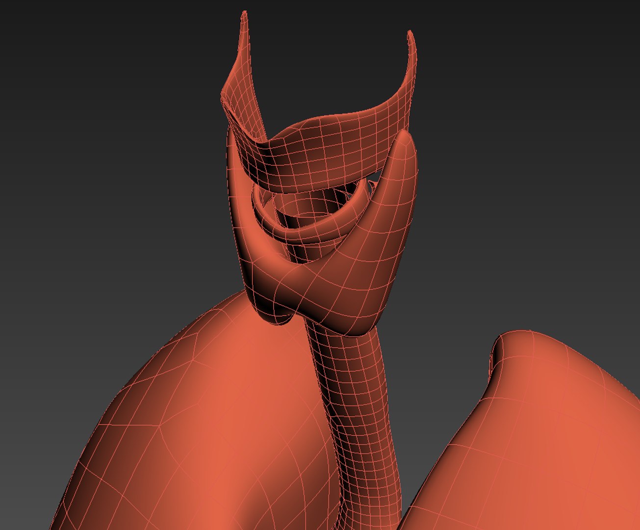 3d realistic human lungs animation https://p.turbosquid.com/ts-thumb/SQ/qANcn5/BK8NRJje/wire4/png/1454308422/1920x1080/fit_q87/4eb5f652e42902d0d20eeb1a699899e3ae9578af/wire4.jpg