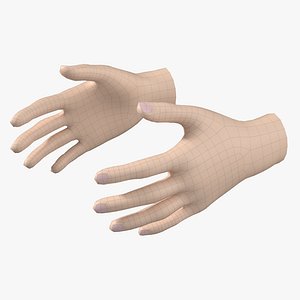 Female Hand Base Mesh 04 3D model