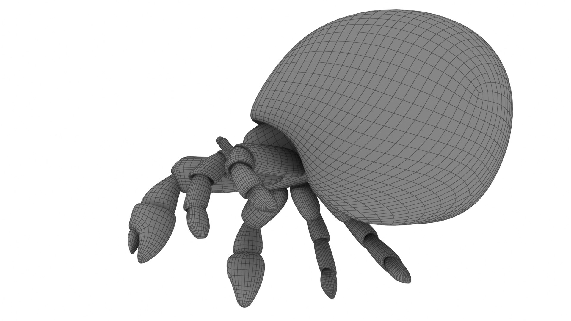 Cartoon Hermit Crab 3D Model - TurboSquid 2099217