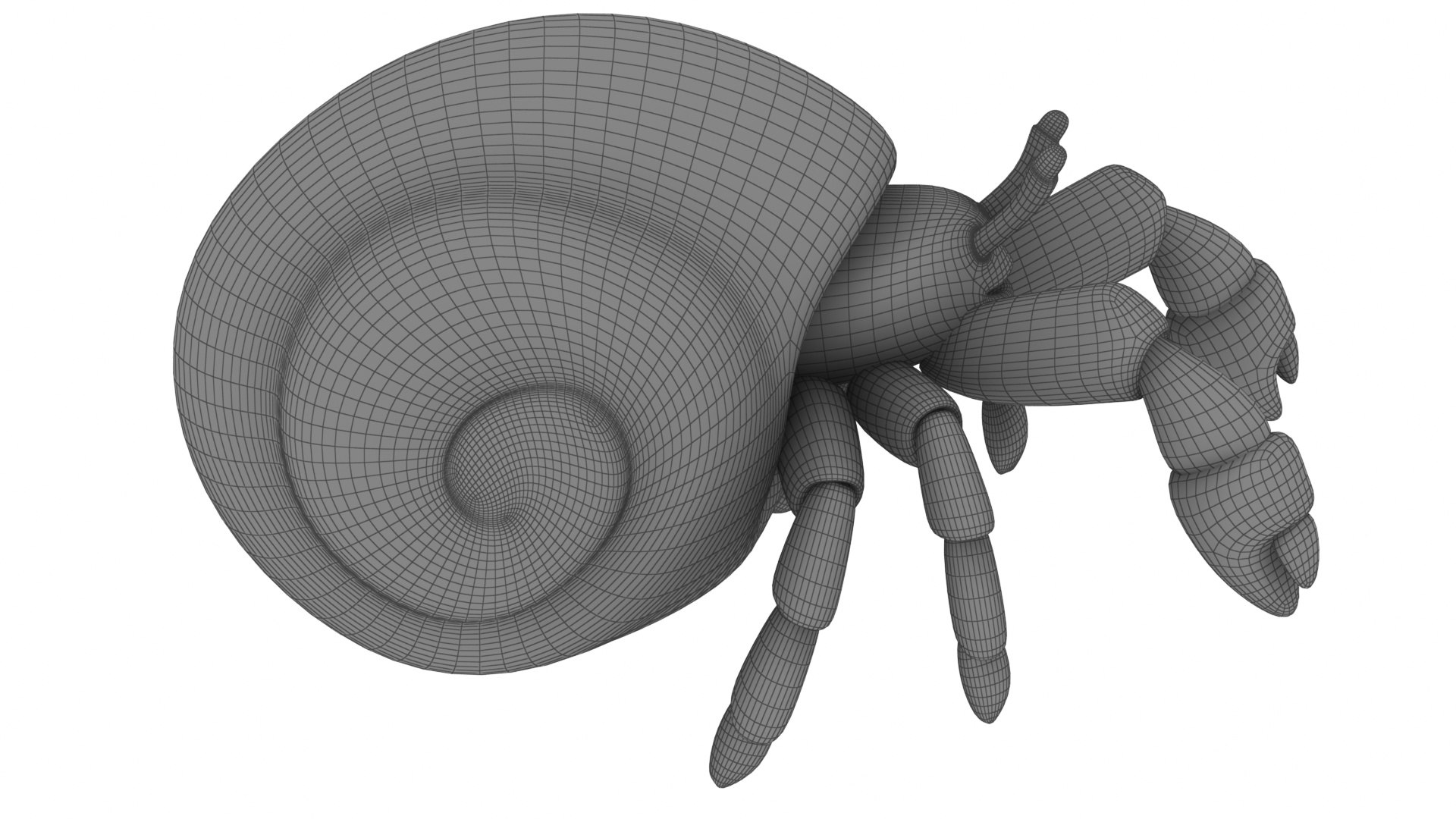 Cartoon Hermit Crab 3D Model - TurboSquid 2099217