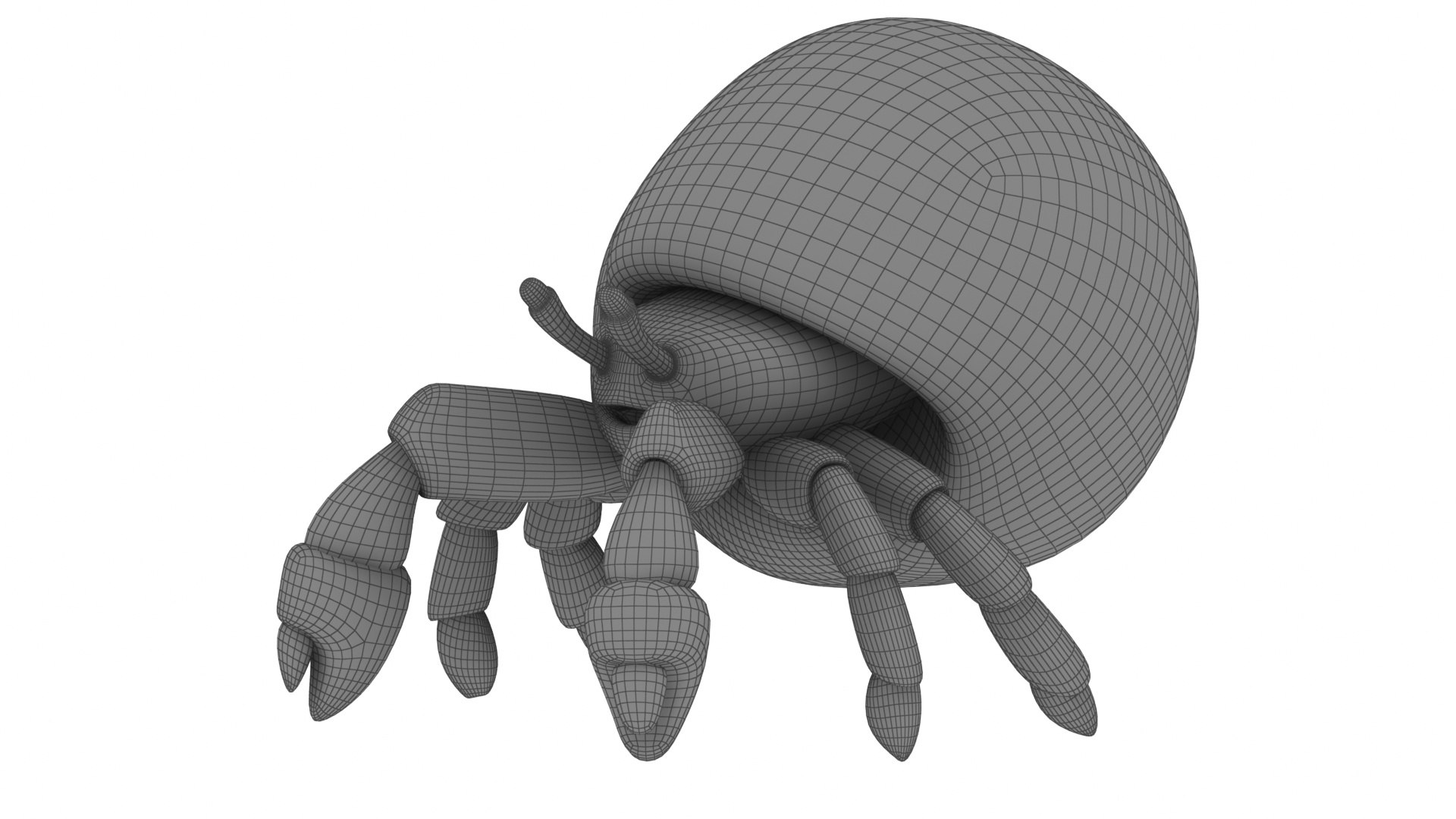 Cartoon Hermit Crab 3D Model - TurboSquid 2099217