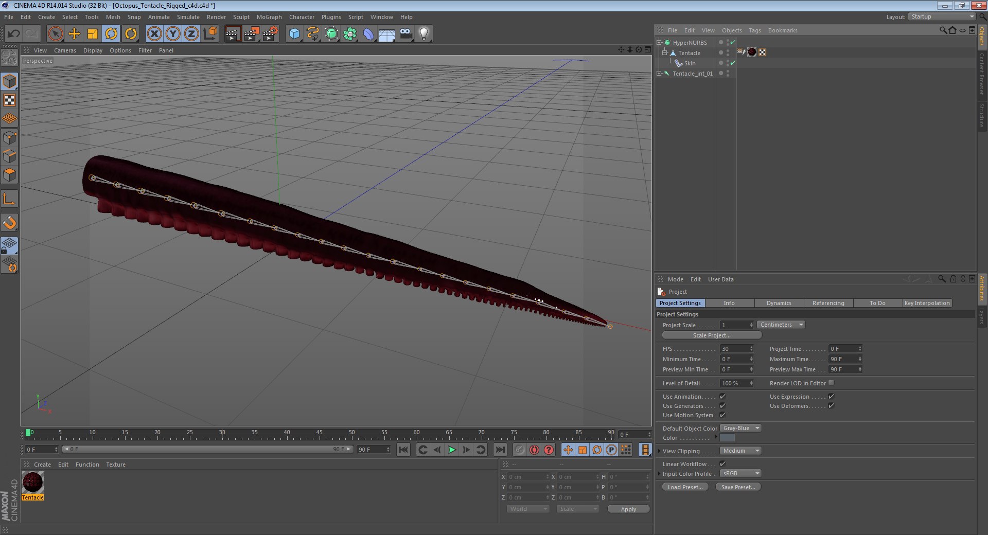octopus tentacle rigged c4d https://p.turbosquid.com/ts-thumb/SR/FV4lCl/FrGo1iM9/octopustentaclerigged3dmodel010/jpg/1477926551/1920x1080/fit_q87/486cda8e2a4c94d73a89cf22bddf780d969d2752/octopustentaclerigged3dmodel010.jpg