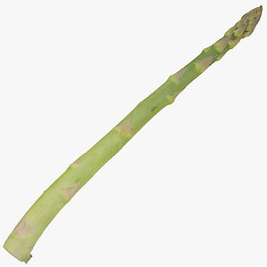 Asparagus 02 RAW Scan 3D model