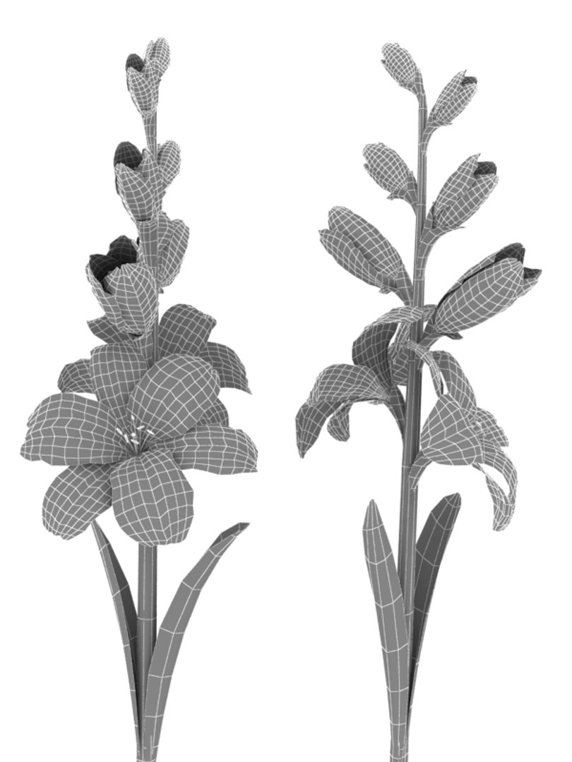 3ds max flowers v1 https://p.turbosquid.com/ts-thumb/SR/KjwROg/rqM585ZQ/flowers_collection_v1_67/jpg/1269207345/1920x1080/fit_q87/7acf5b6a0da6ce58f64612d5da2c3e0e675663eb/flowers_collection_v1_67.jpg