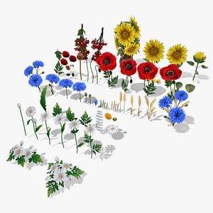 Pack Stylized handpainted wild flowers