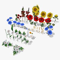Pack Stylized handpainted wild flowers