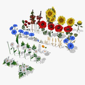 Pack Stylized handpainted wild flowers