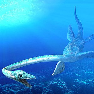 plesiosaur animations 3d model