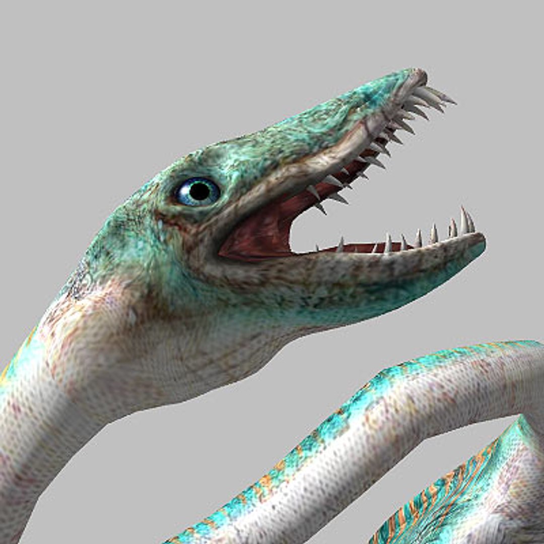 Plesiosaur Animations 3d Model