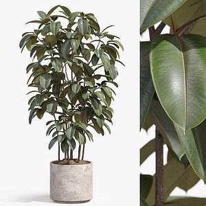 3D Plant 1341 model