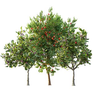 AV 13 Unique Collections of   different Fruit Trees Set 3D