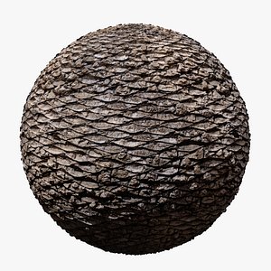 3D canary palm PBR tiled texture 8K