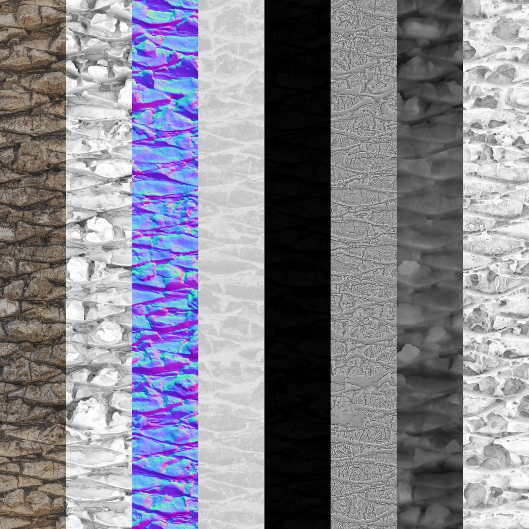 3D Canary Palm PBR Tiled Texture 8K - TurboSquid 2233553