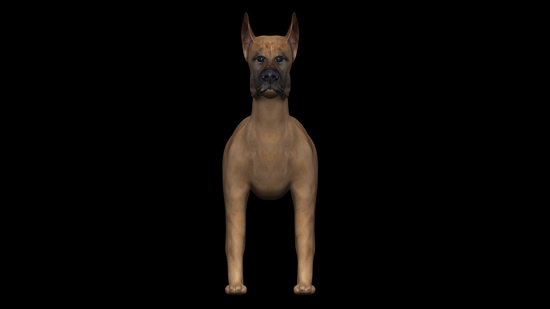 3D Fully Rigged Low Poly Great Dane - TurboSquid 1741110