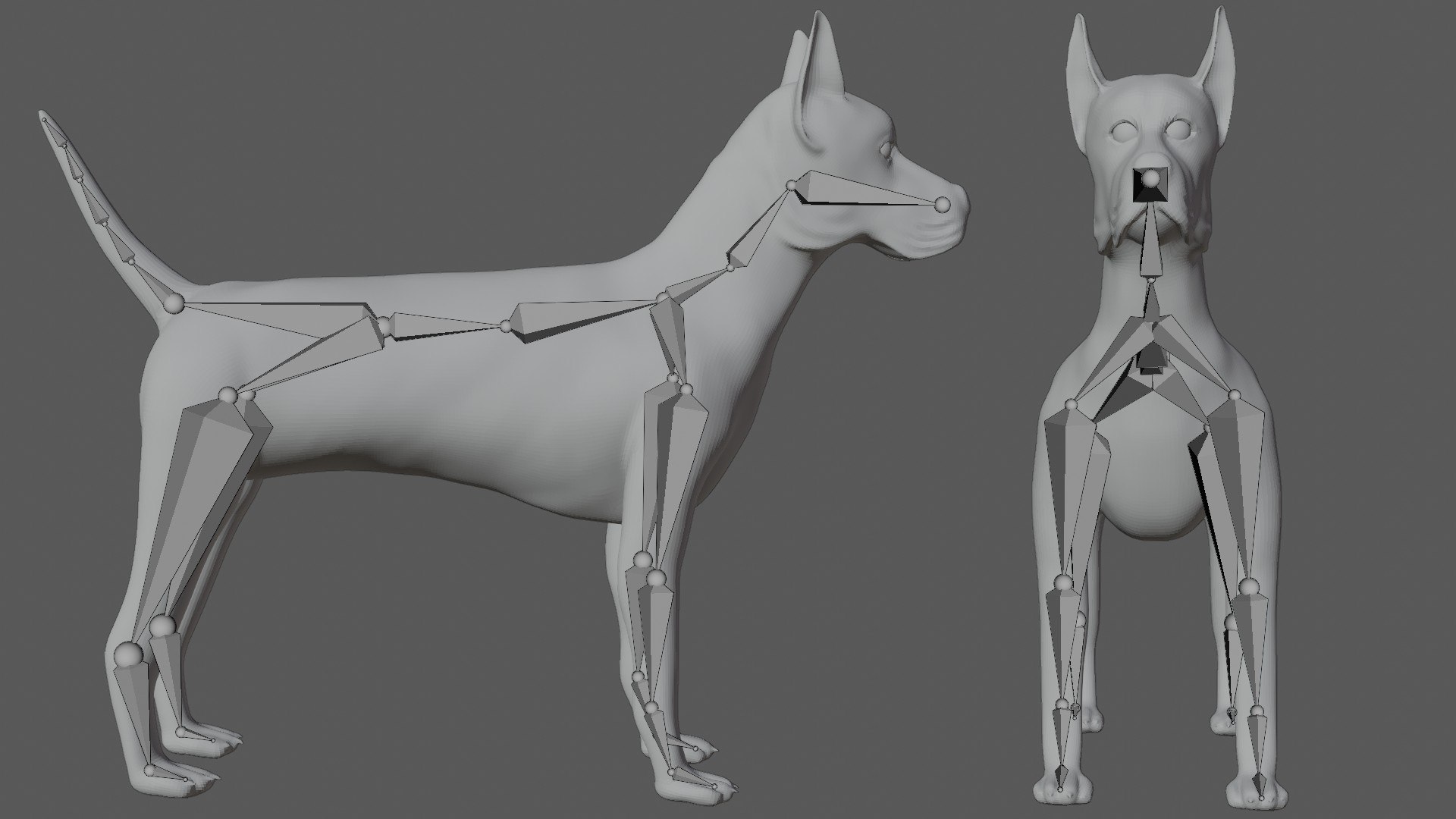 3D Fully Rigged Low Poly Great Dane - TurboSquid 1741110