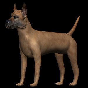 fully rigged low poly great dane