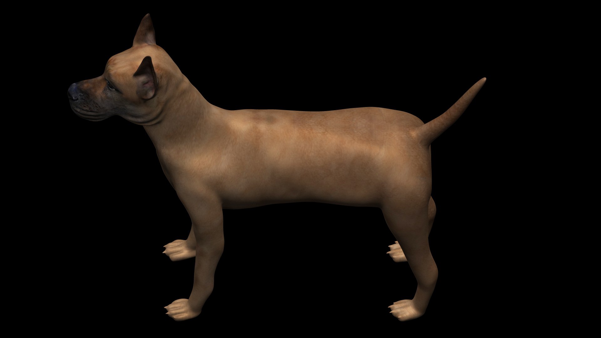 3D Fully Rigged Low Poly Great Dane - TurboSquid 1741110