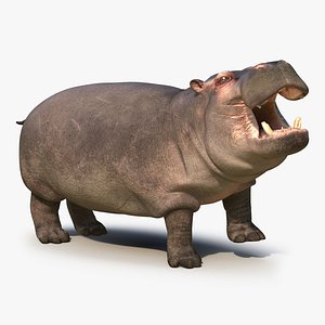 hippopotamus rigged 3d max