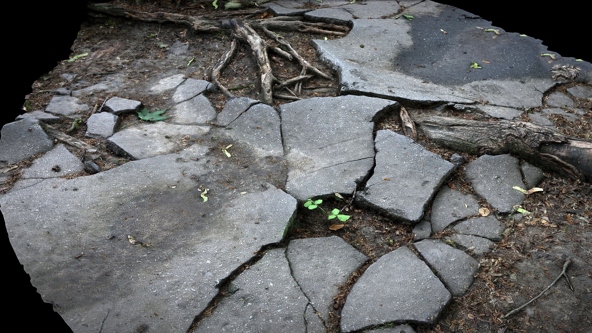 Roots Asphalt Damaged Road Part3 Photogrammetry 3D Model - TurboSquid ...