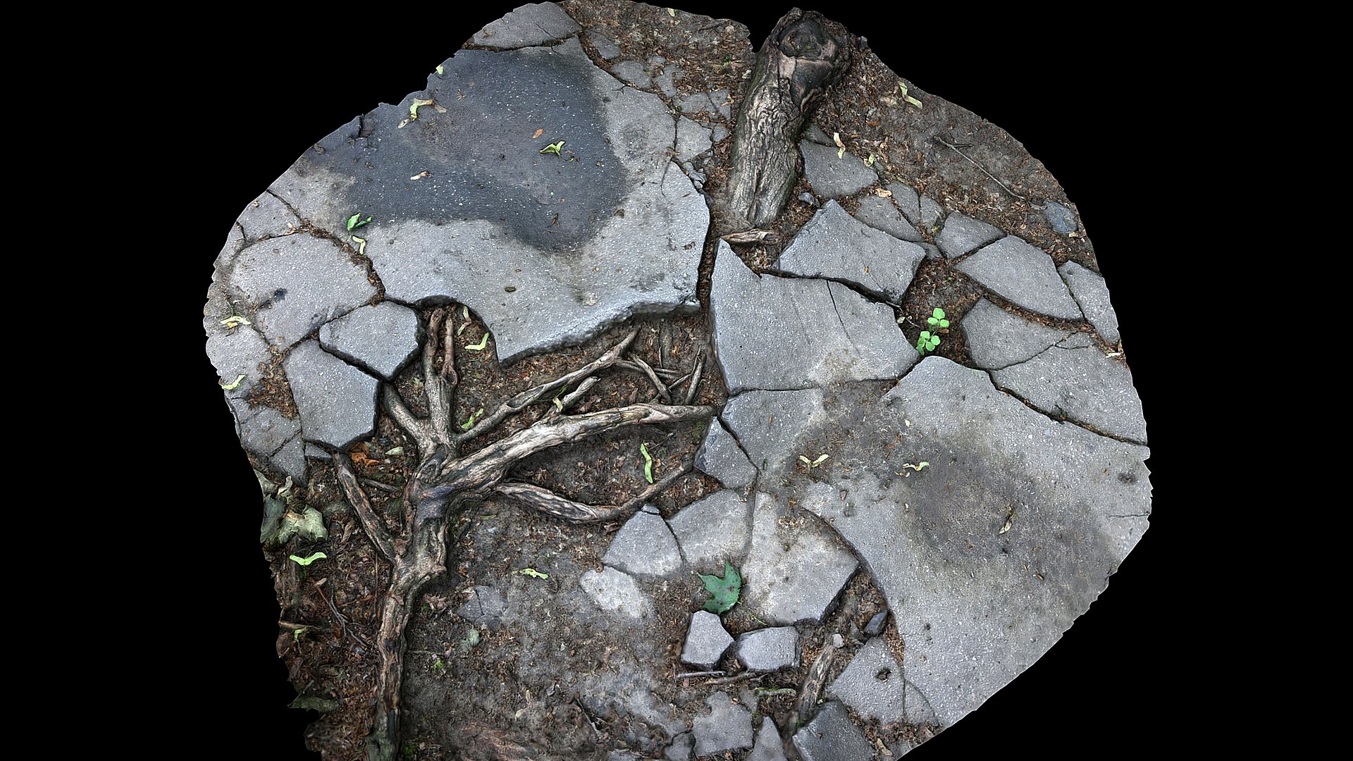 Roots Asphalt Damaged Road Part3 Photogrammetry 3D Model - TurboSquid ...