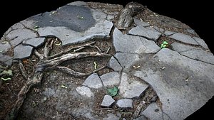 roots asphalt damaged road part3 photogrammetry