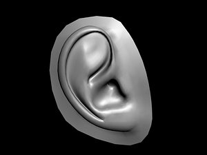 3d model of human ear