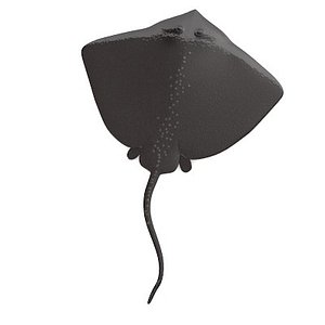 3d stingray sting model