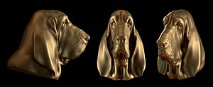 bloodhound head