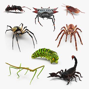 creeping insects 2 3D model