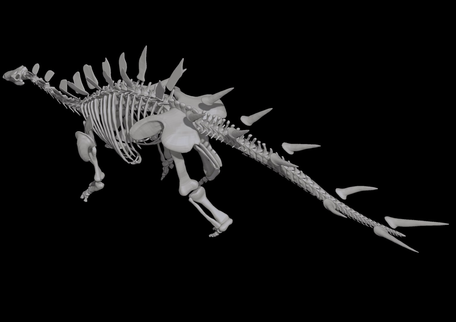 3D Kentrosaurus Skeleton Dinosaur - TurboSquid 1254077