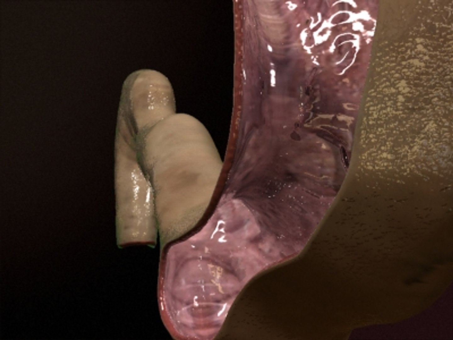 3d realistic stomach model https://p.turbosquid.com/ts-thumb/SS/qajq2k/SahVBWfw/stomach002/jpg/1263668441/1920x1080/fit_q87/047c4bdf8c11e0268d1b178292446e4c73e87c40/stomach002.jpg