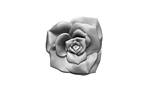 rose flower 3D model