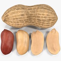Peanuts Set