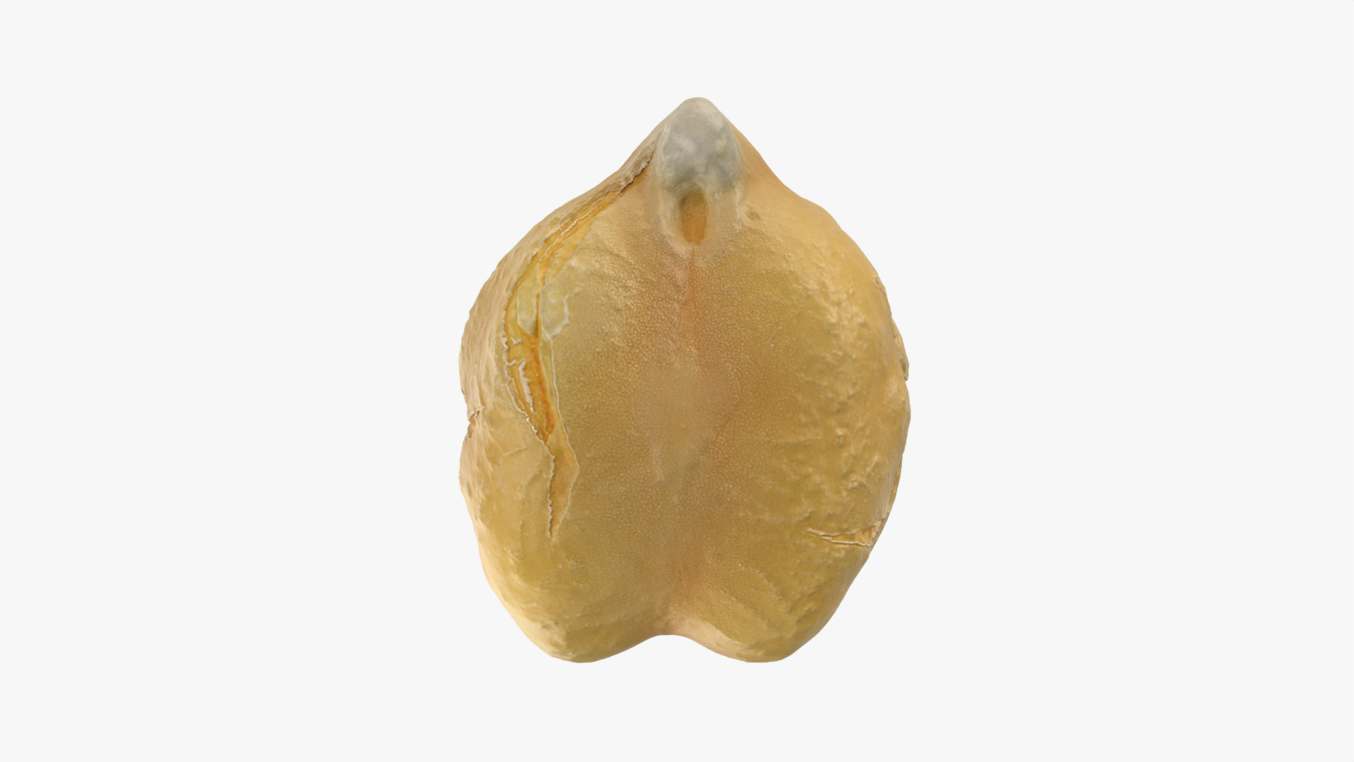 Boiled Chickpea 01 3D model https://p.turbosquid.com/ts-thumb/ST/ElJP28/JQ/chickpeaboil01/png/1765599741/1920x1080/turn_fit_q99/926e7a48503af9afaab9af13c31e80c9e2994d21/chickpeaboil01-1.jpg