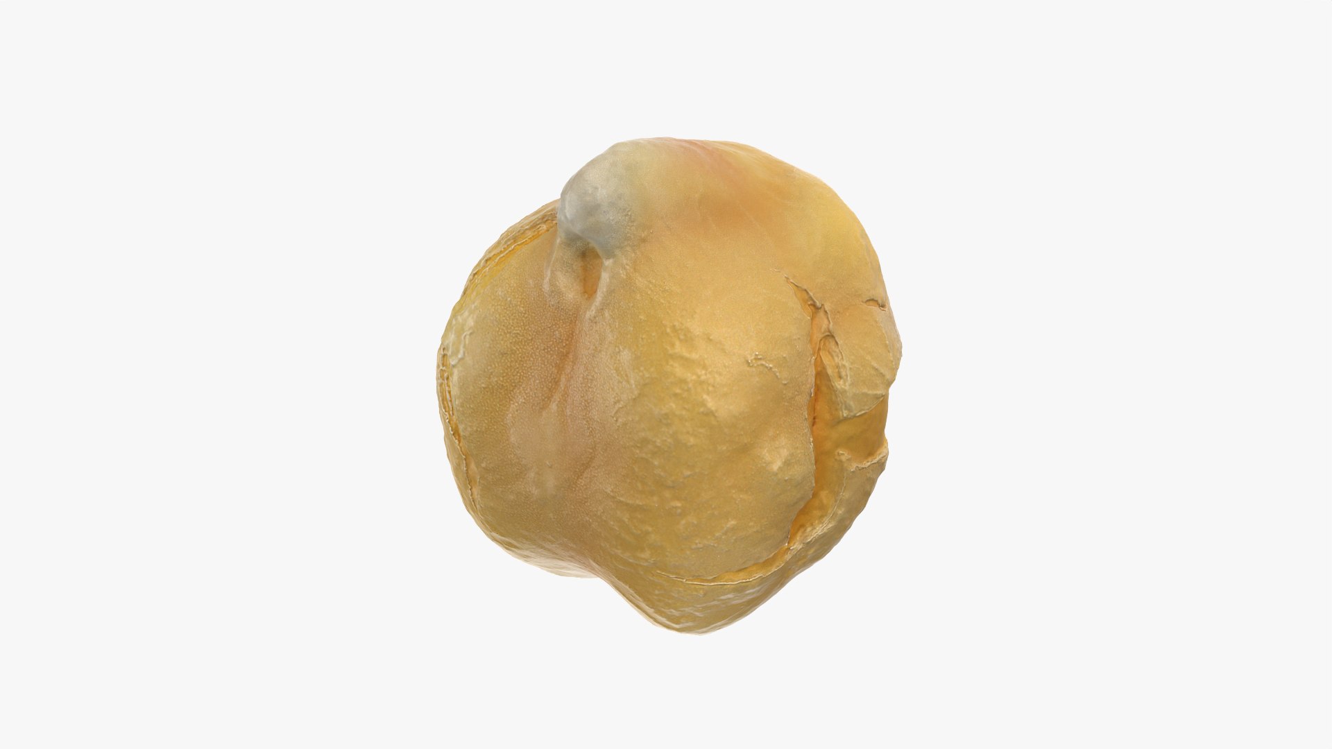Boiled Chickpea 01 3D model https://p.turbosquid.com/ts-thumb/ST/ElJP28/Ja/chickpeaboil01_0005/png/1765365238/1920x1080/fit_q87/179f52566b56afc95a9344643bf1dcbc79348e2a/chickpeaboil01_0005.jpg