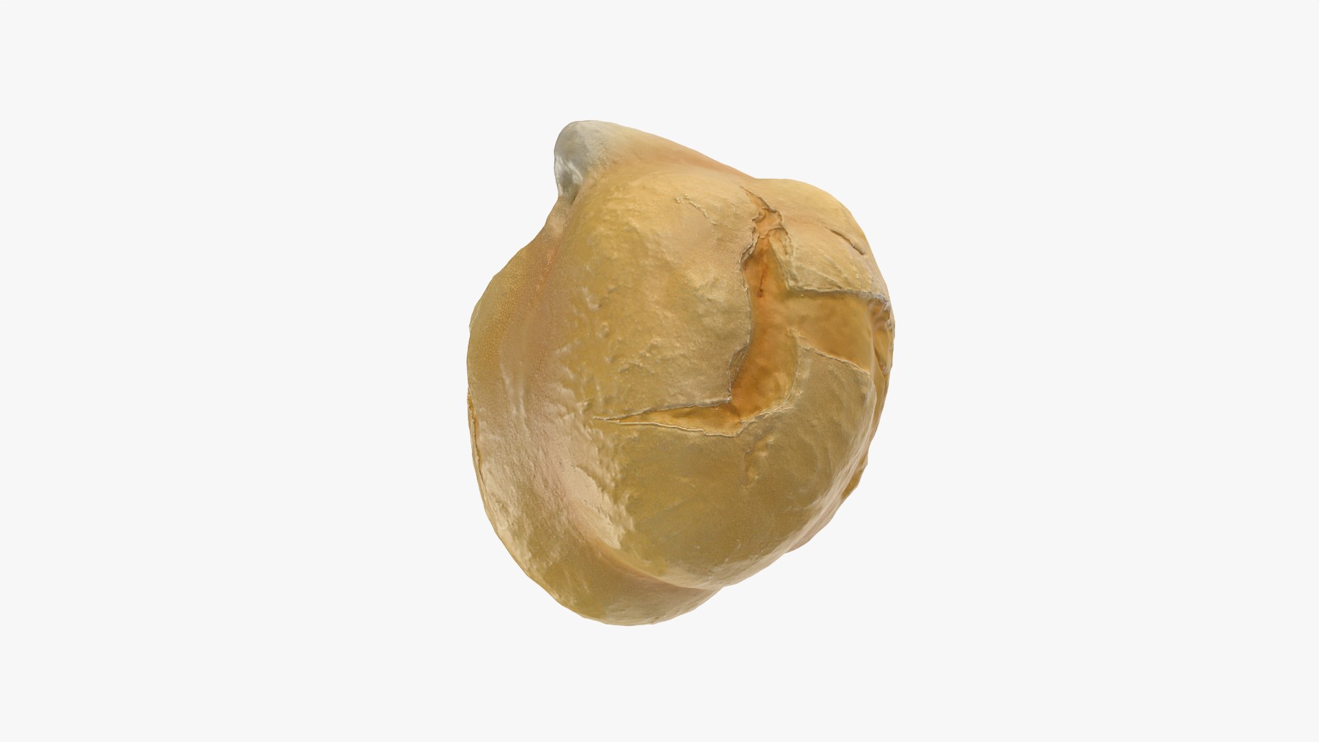 Boiled Chickpea 01 3D model https://p.turbosquid.com/ts-thumb/ST/ElJP28/dI/chickpeaboil01_0008/png/1765365248/1920x1080/fit_q87/65e873b60586bbdce93f8faca511254330092473/chickpeaboil01_0008.jpg