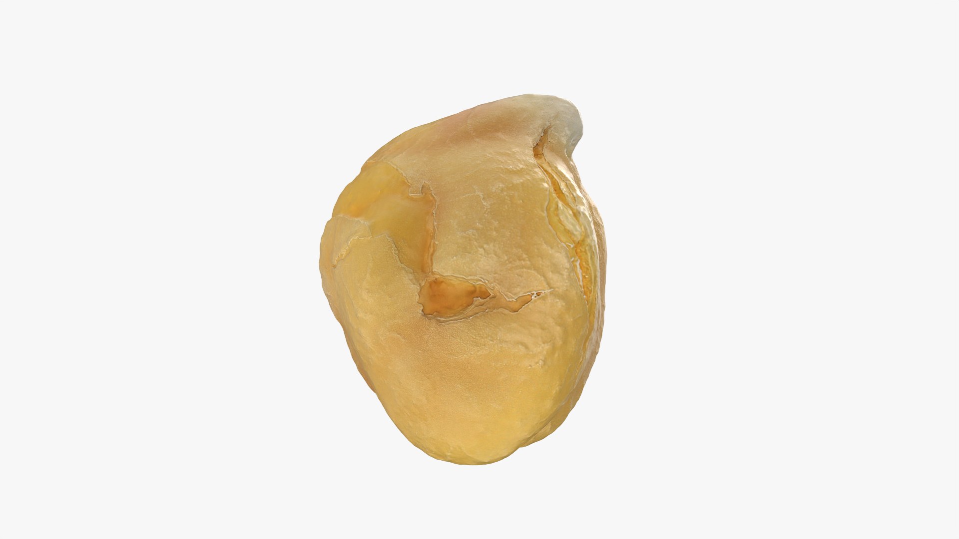 Boiled Chickpea 01 3D model https://p.turbosquid.com/ts-thumb/ST/ElJP28/yJ/chickpeaboil01_0007/png/1765365245/1920x1080/fit_q87/50c27048e2a68205684532fcdae6a992536e5a89/chickpeaboil01_0007.jpg