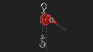 Lever hoist