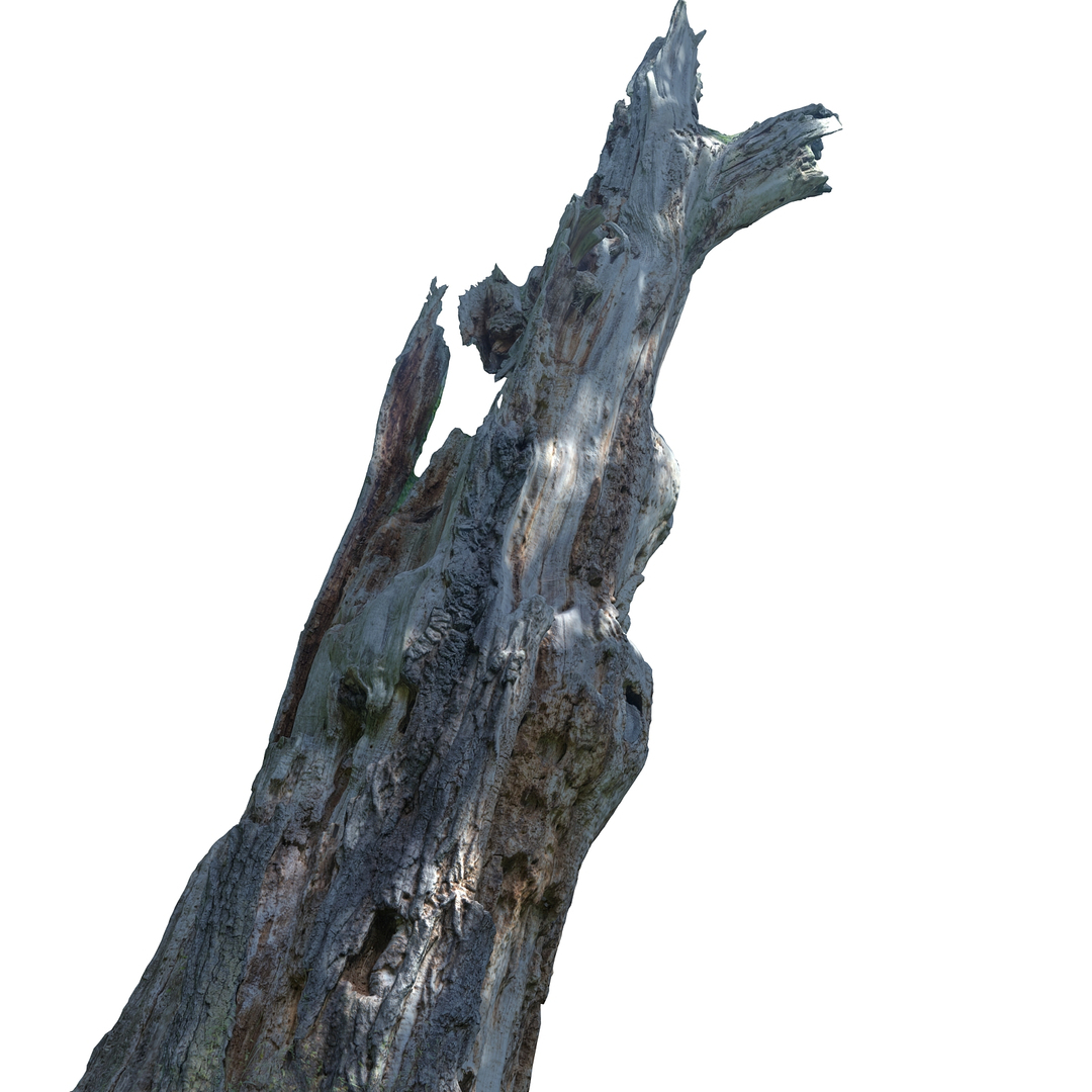 Scanned Hd 16k 3d Model