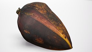 3D model Banana Flower - Photorealistic Scan